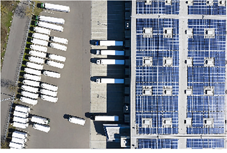 1736128544212306.jpg 2.jpg